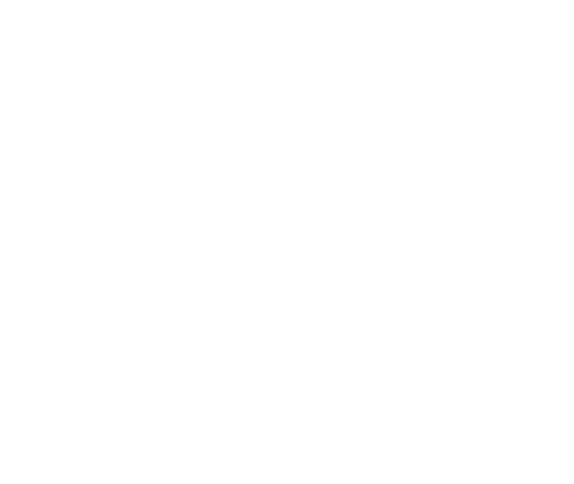 毛笔字